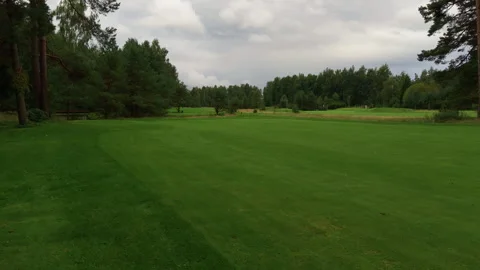 Wide green golf course fairway framed by pines under cloudy sky with soft ground Stock Footage 344969849
