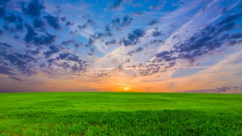 Wide green rural field at the dramatic sunset Stock Footage 345674684