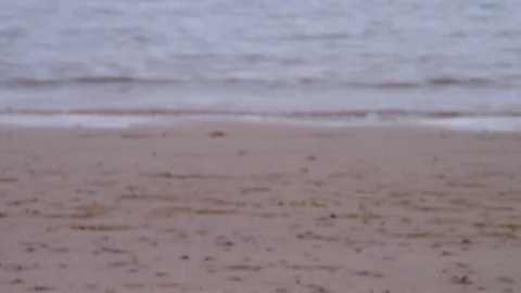 Wide horizon view of the beach Stock Footage 80426446