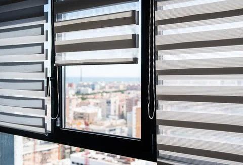 Wide Interior Window With Zebra Blinds and Natural Daylight Foto stock