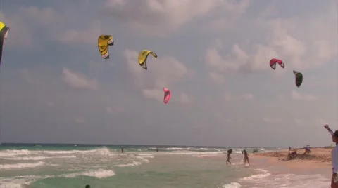 Wide kites Stock Footage 1064966