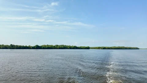 Wide Kumai River with Distant Jungle, Borneo, Indonesia Stock Footage 346431799