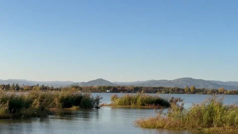 Wide lake landscape with distant mountains and a bird gliding Stock Footage 323525859