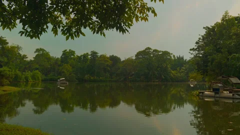Wide lake with trees and floating structure Stock Footage 321009420