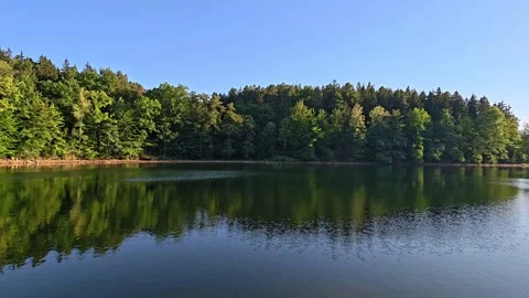 Wide lakeside forest panorama with calm water mirror reflection, sunlit Stock Footage 345170862