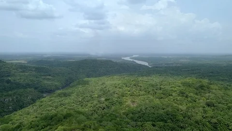 Wide Landscape of the amazon rainforest Stock Footage 129846469