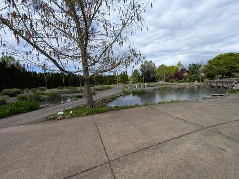 Wide landscape featuring interconnected ponds, charming pedestrian bridges 库存照片