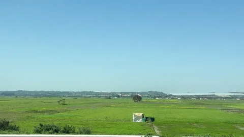 Wide landscape of green rice fields viewed from a train window at Morocco Vídeos de archivo 332764618