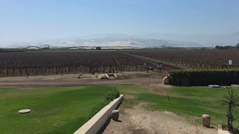 Wide landscape view of pisco grape vineyards at Hacienda La Caravedo Stock Footage 345683019