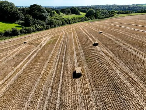 Wide large arable field under a blue sky Foto stock