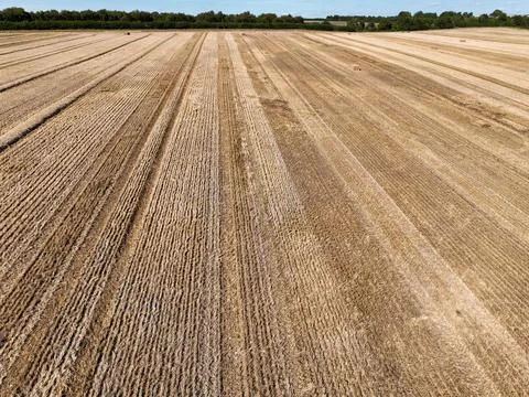 Wide large arable field under a blue sky Stock Photos