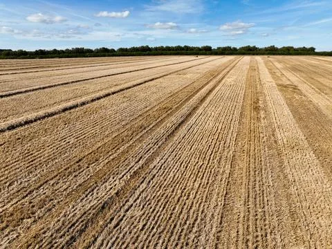 Wide large arable field under a blue sky Stock Photos