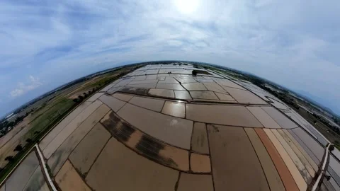 Wide lens captures rice fields below Video stock 345393515