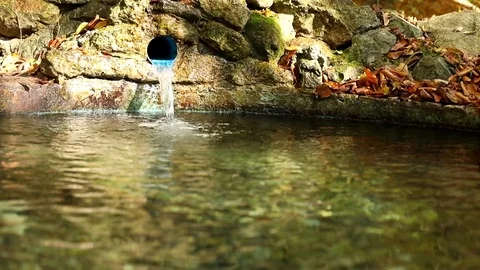 Wide lens macro of water source in autumn forest with leaves on background Vídeos de archivo 120124436