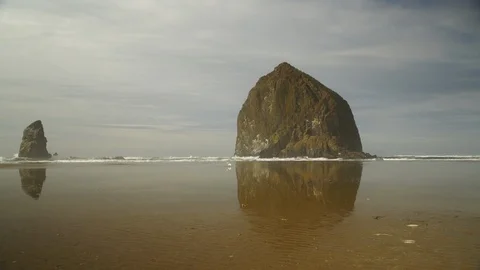 Wide low angle of Haystack Rock with waves and seagulls walking Uncolored Stock Footage 102418092