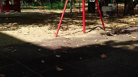 Wide Low Angle View of Empty Red Swing Set Frame and Fallen Leaves on Video stock 345042264