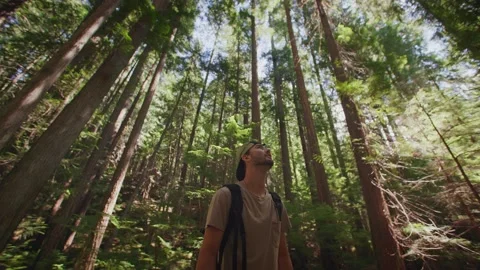 Wide low angle of young man looking around in forest, waterfall in background 库存影片 220301722