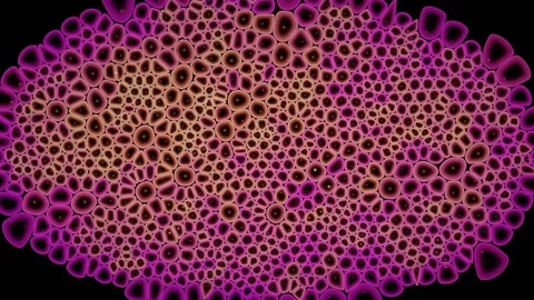 Wide Low Magnification View Holds Hundreds Of Cells Stock Footage 344513249