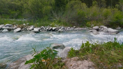 Wide mountain glacial river Stock-Footage 243085700