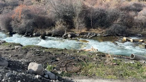 Wide mountain river landscape with flowing water and rocky banks outdoors Stock Footage 336960153