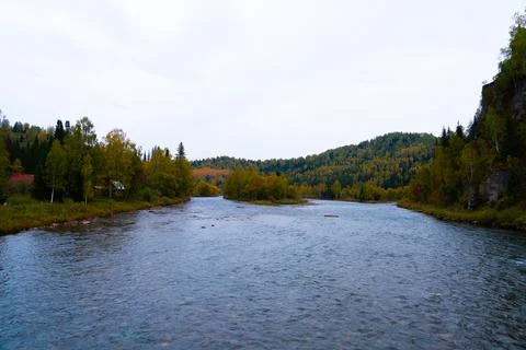 Wide mountain river surrounded by dense autumn forest Stock Photos