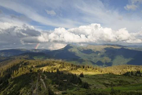 Wide mountain spruces hill under clouds landscape photo Stock Photos