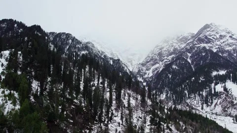 Wide Mountain Valley Background with Snow Peaks and Forest Texture Video stock 332174513