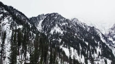 Wide Mountain Valley Background with Snow Peaks and Forest Texture Video stock 332174544