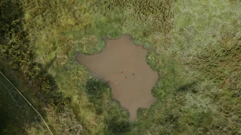 A wide move from the water surface of a small lake directly up Stock Footage 296808971