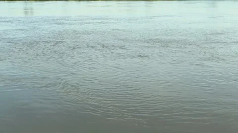 Wide moving river water stream current close up abstract background video Stock Footage 339931203