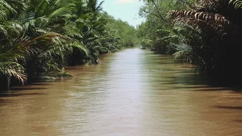 Wide muddy river flowing through dense tropical jungle in Vietnam Stock Footage 340029612