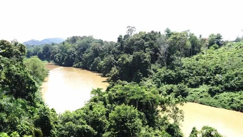 A wide muddy river flows through a dense tropical forest under a bright hazy sky Stock Footage 347076191