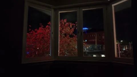 Wide Nighttime Window View of Red Foliage and Illuminated Swedish Buildings 库存影片 347682284