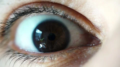 Wide Open Dark Brown Eye Macro Stock Footage 98590776