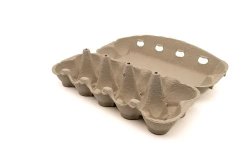 Wide open empty egg box for ten eggs, isolated on white with copy space Foto stock