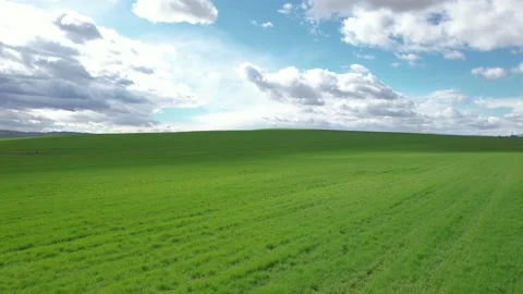 Wide, open, green field in spring season. 4K Drone Video Stock Footage 173844429