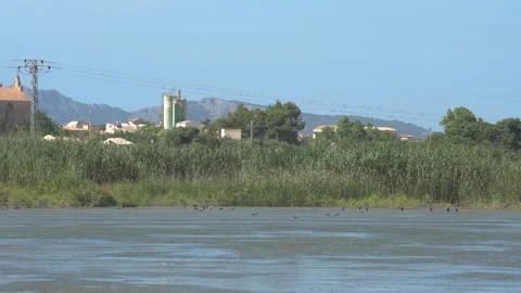 Wide Open Lagoon With Mountain Backdrop, Maristany, Mallorca, Spain Stock Footage 340589656