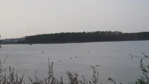 Wide Open Lake Under Soft Sky Stock Footage 334756630