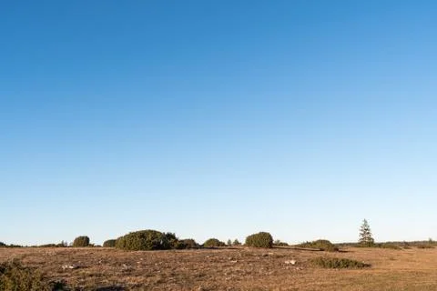 Wide open landscape Stock Photos