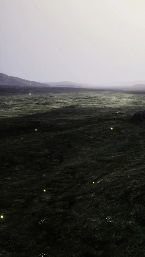 Wide open landscape under soft light near the mountains in the distance 库存影片 335964986