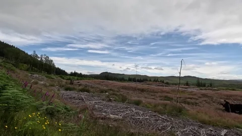 Wide open view across Scottish hillside Stock Footage 280479317