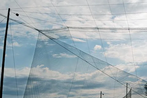 Wide ornithological mist net system is suspended across open sky for safe bir Stock Photos