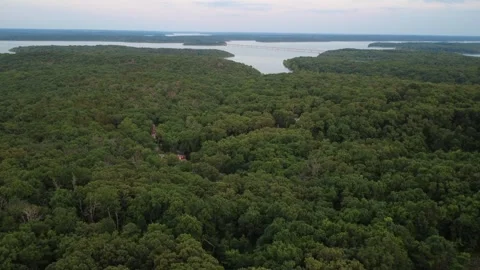 Wide Ozark Forest View Toward Stockton Lake Bridge Stock-Footage 336814640