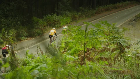 WIDE - PACK OF CYCLISTS RIDING AWAY FROM CAMERA Stock Footage 141279870