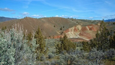 Wide painted hills Spring Sutton Mountain John Day Great Basin High Desert Video stock 81964033