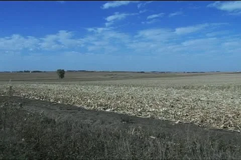 Wide pan across field in fall 1 min SD Stock Footage 20642828