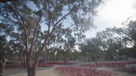 Wide pan shot onto forest trees at the Nova Music Festival Memorial site, Gaza Stock Footage 297199906