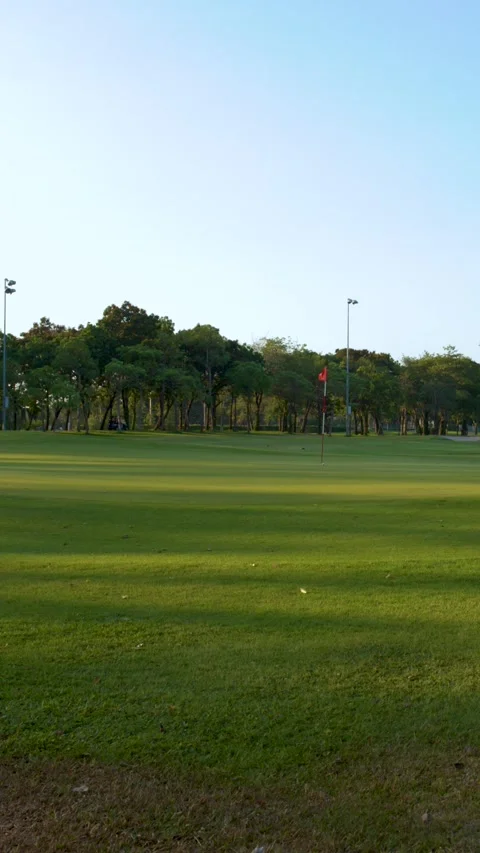 Wide Pan of Tropical Golf Course Green with Palm Trees Stock Footage 337997294