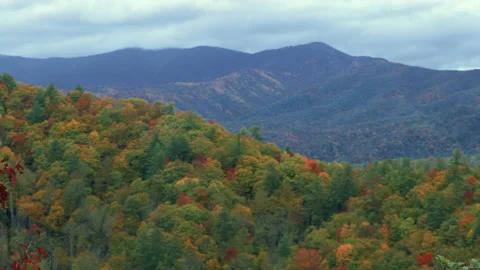 Wide, panning, autumnal mountainous landscape, North Carolina, USA Stock Footage 140483353