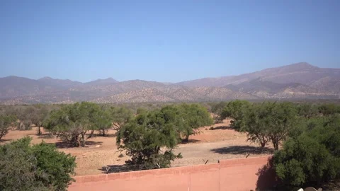 Wide Panning Shot of Argan Tree Orchard and Mountains in Souss-Massa, Agadir Vídeos de archivo 334617947